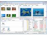 Q-Dir (64-bit Portable) v5.30