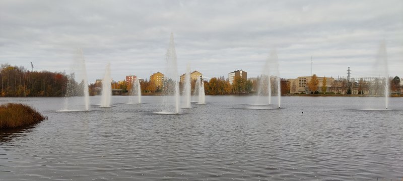 OnePlus 8T kuva pkameralla